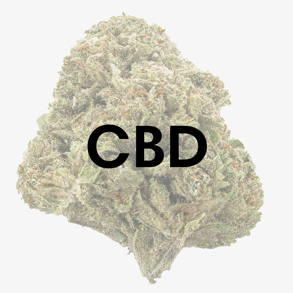 Legální cannabis - CBD - Herbz.dk