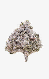 Frosted Papaya | 22% THCA