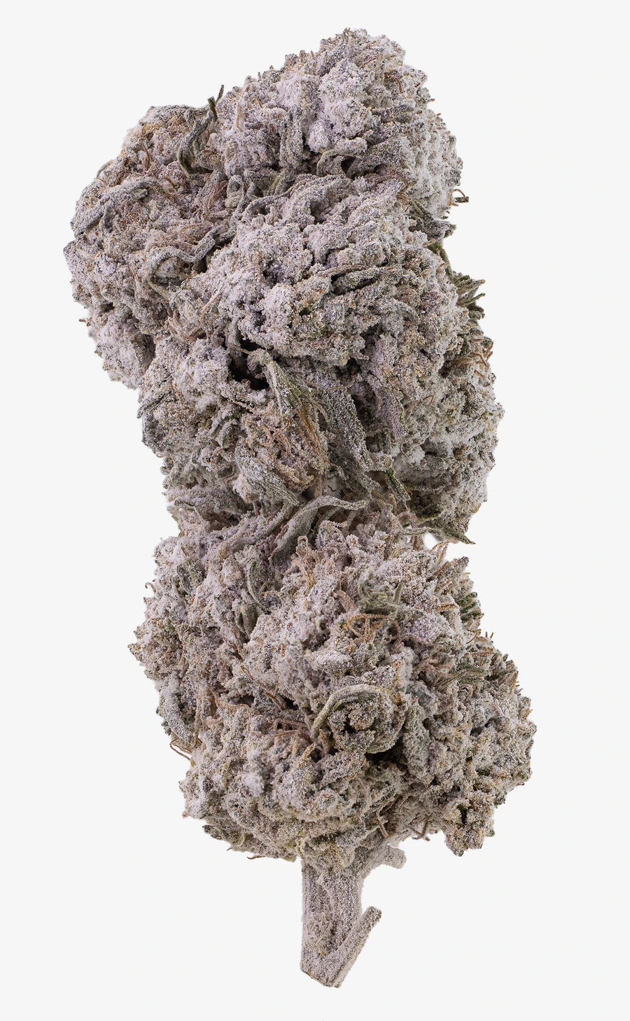 Frosted Diesel | 25% THCA