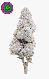Crazy Cali | Creative Juice | 24% THCA