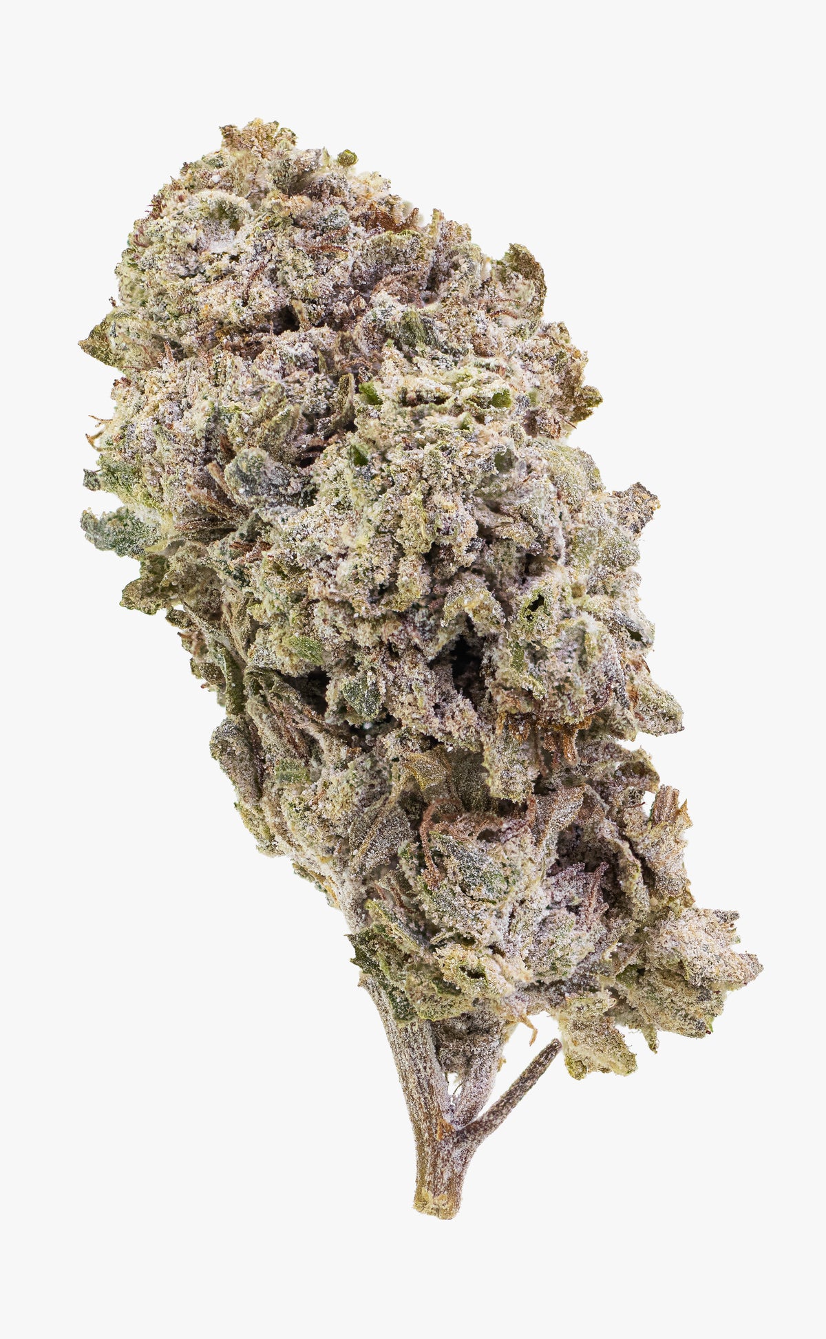 Lemon Haze | 23% THCA