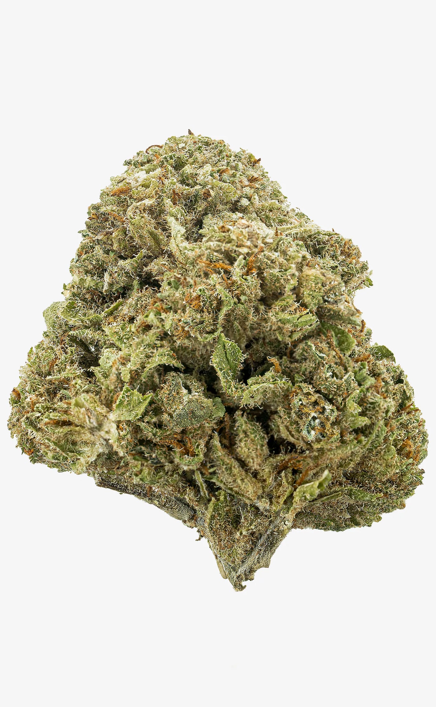 Zkittlez | 16% CBD - herbz.dk herbz.dk 1 g CBD vrcholové pupeny - legální konopí