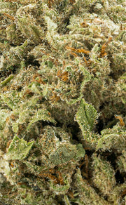 Zkittlez | 16% CBD - herbz.dk herbz.dk 1 g CBD vrcholové pupeny - legální konopí