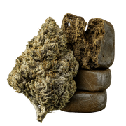 10g Amnesia Haze 23% THCA a 10g Bubble Hash 50% THCA společně v balíčku Herbz