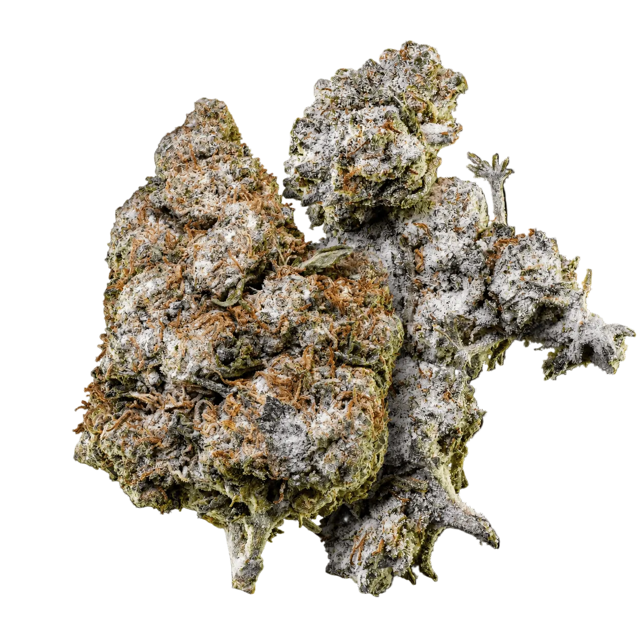 10g O.G. Zkittles 24% THCA a 10g Orange Tangie Smalls 22% THCA společně v balíčku Herbz