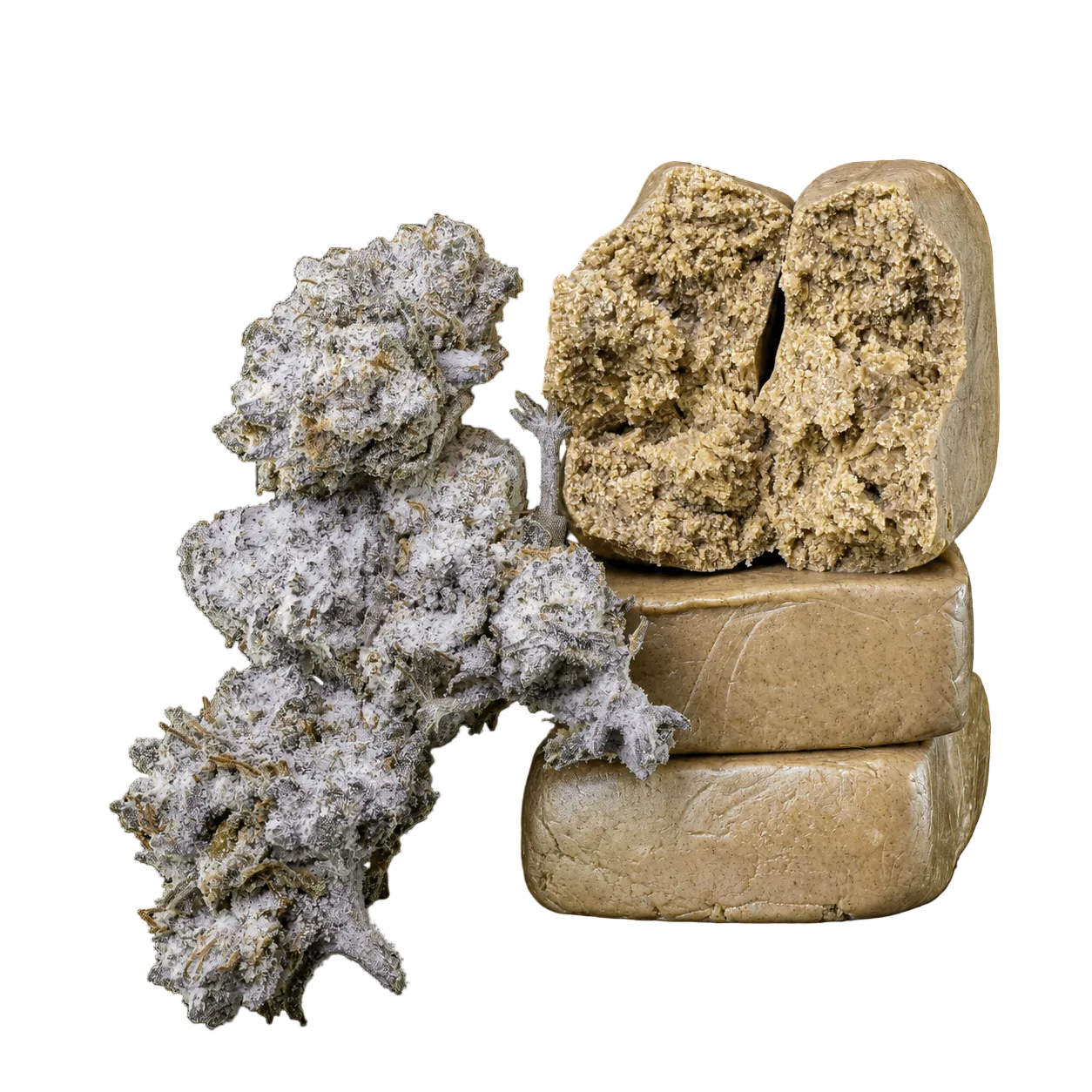 10g Orange Tangie Smalls 22% THCA a 10g Piatella 60% THCA společně v balíčku Herbz