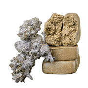 10g Orange Tangie Smalls 22% THCA a 10g Piatella 60% THCA společně v balíčku Herbz