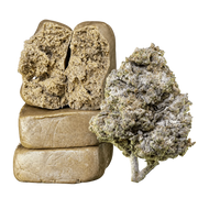 10g Piatella 60% THCA a 10g Thai Haze 23% THCA společně v balíčku Herbz
