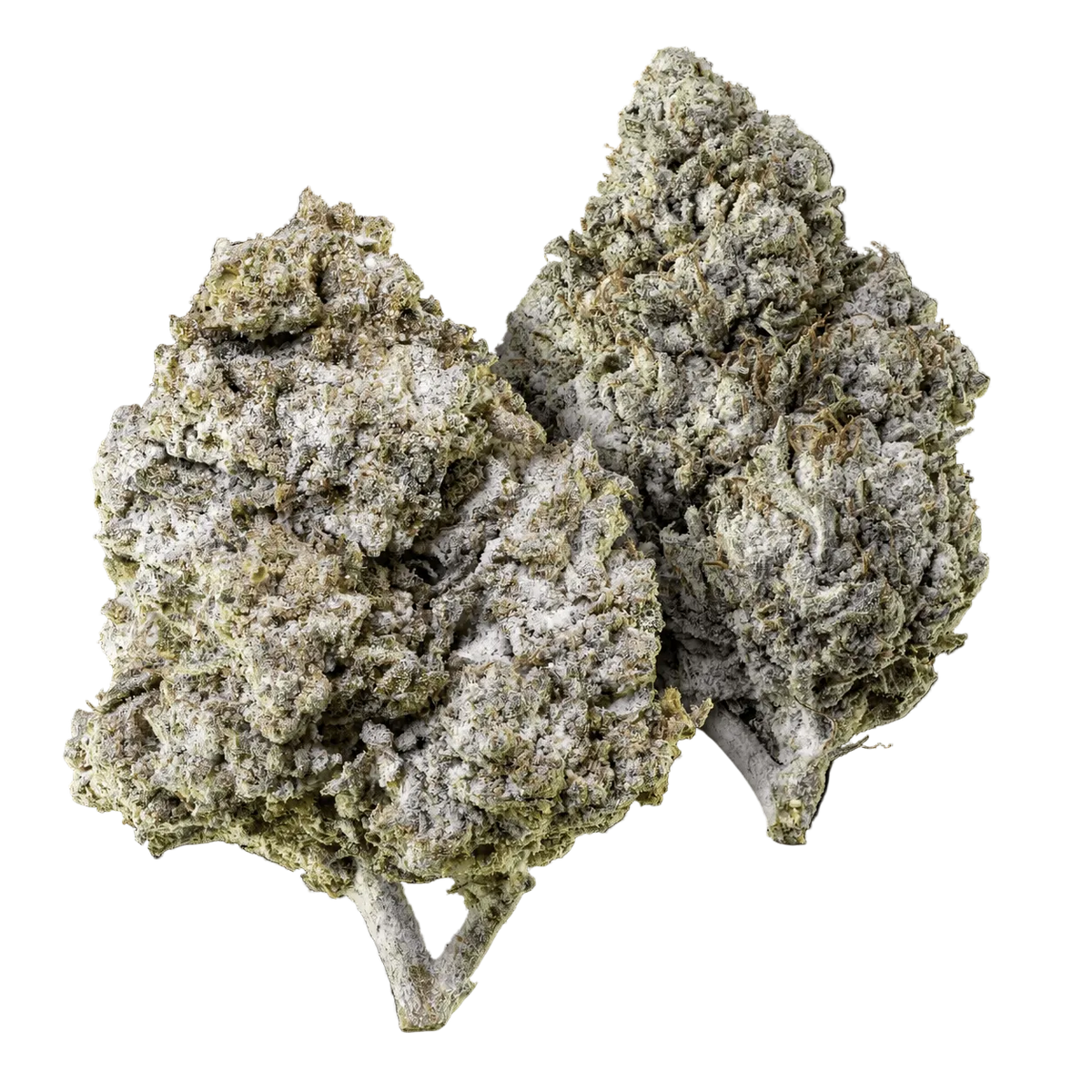 10g Thai Haze 23% THCA a 10g Amnesia Haze 23% THCA společně v balíčku Herbz