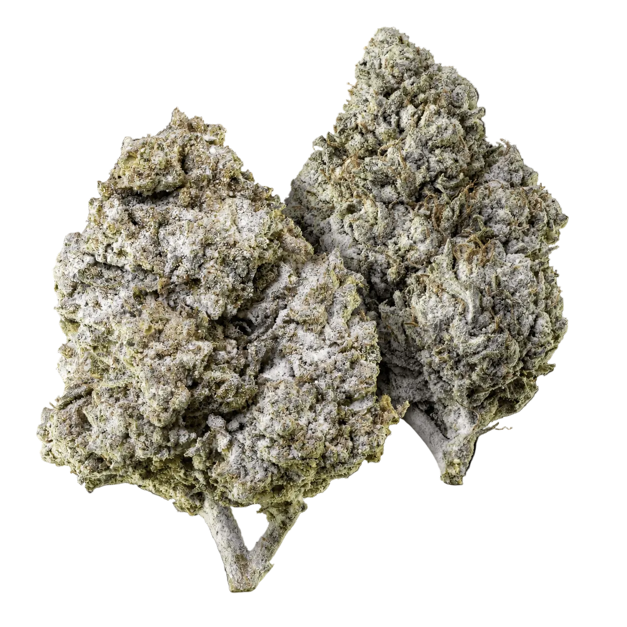 10g Thai Haze 23% THCA a 10g Amnesia Haze 23% THCA společně v balíčku Herbz