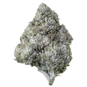 Balení Herbz Amnesia Haze 10g s fialovo-zeleným designem