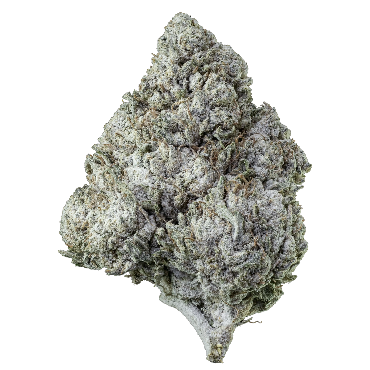 Balení Herbz Amnesia Haze 10g s fialovo-zeleným designem