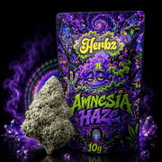 Detailní záběr Amnesia Haze 23% THCA se zelenými odstíny a oranžovými pestíky