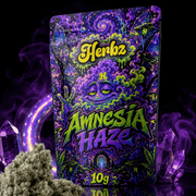 Amnesia Haze 23% THCA květy s klasickým citrusovým haze profilem