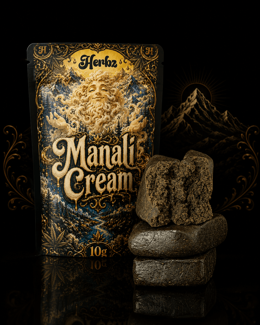 Detailní záběr Manali Cream 40% THCA s porézní a tmavou strukturou hashe