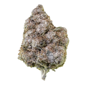 Balení Herbz O.G. Zkittles 10g s barevným designem a květy