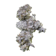 Obal Herbz Orange Tangie Smalls 10g s designem inspirovaným citrusy