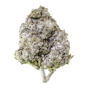 Obal Herbz Thai Haze 10g se zeleným a zlatým designem inspirovaným džunglí