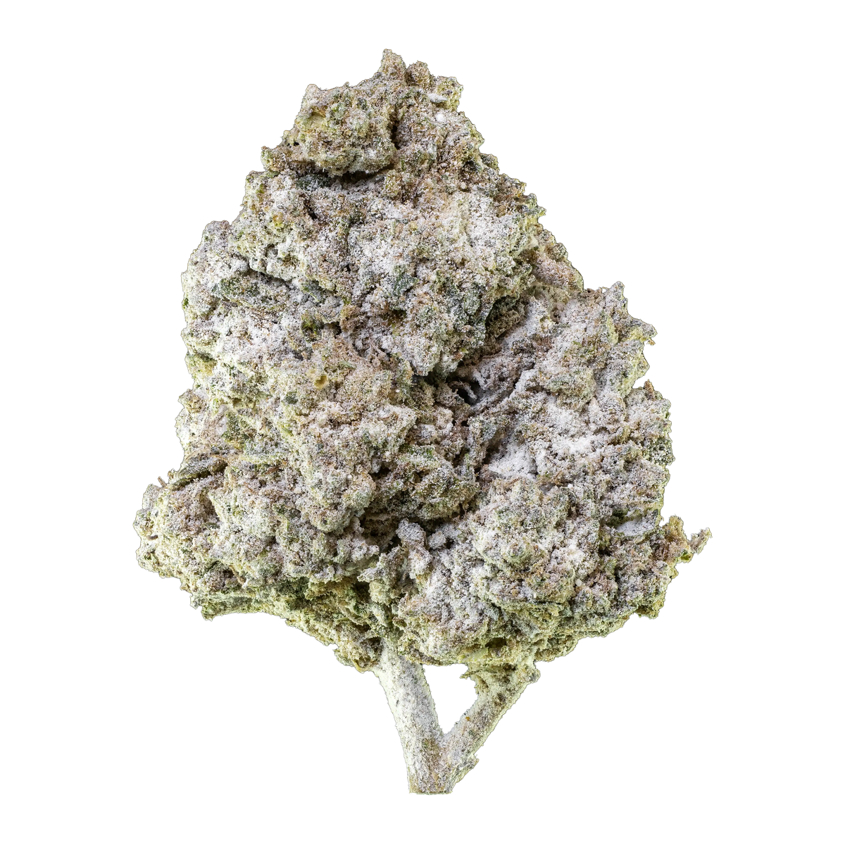Obal Herbz Thai Haze 10g se zeleným a zlatým designem inspirovaným džunglí