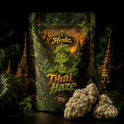 Detailní záběr Thai Haze 23% THCA se světle zelenými odstíny a oranžovými pestíky