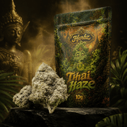 Thai Haze 23% THCA květy s kořeněným citrusovým haze profilem